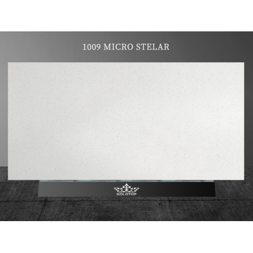 1009 Micro Stelar Quartz
