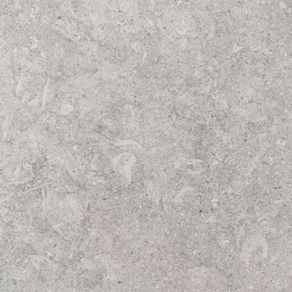 Frassino alpino